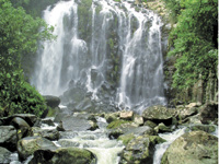 Atherton Tablelands
