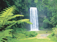 Atherton Tablelands