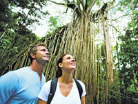 Atherton Tablelands