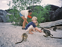 Atherton Tablelands
