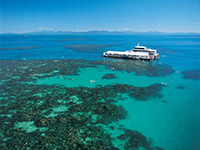 Cairns Beach Accommodation