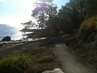 Trinity Beach Walking Trails
