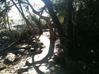 Trinity Beach Walking Trails